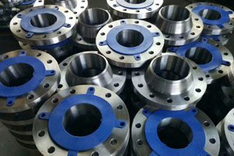 Hastelloy Flanges