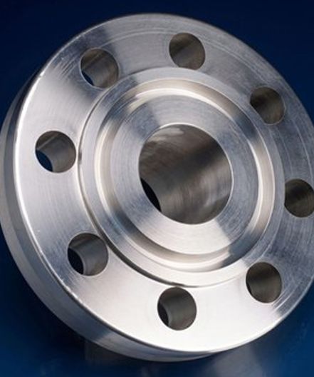SS Ring Type Joint Flanges